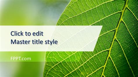 Green Leaves Powerpoint Template Green Leaf Backgroun - vrogue.co