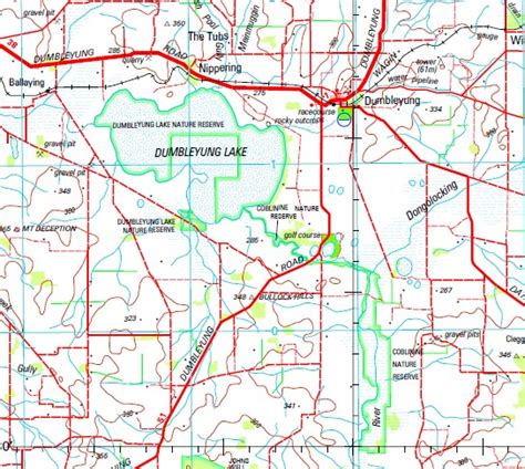 Dumbleyung 1-250,000 Topographic Map - Maps, Books & Travel Guides