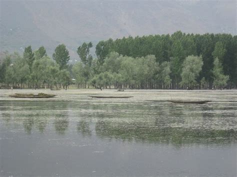 In Protecting the Kashmir Valley, Wular Lake Has Become Harder to Save – The Wire Science