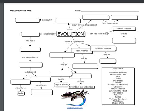 Solved Evolution Concept Map Name: wwwhbiologecarnar cout | Chegg.com