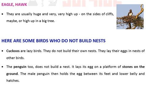 NESTING HABITS OF BIRDS - Fun with science