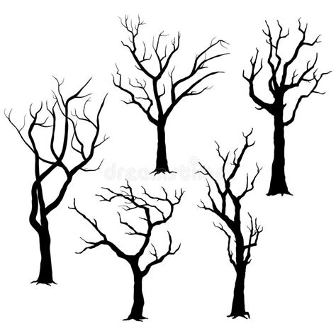 A Set of Tree Silhouettes , for Architectural or Landscape Design Stock ...