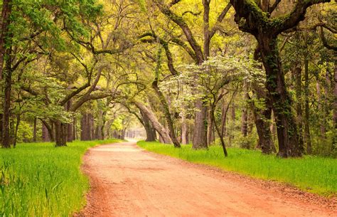 Welcome to Edisto Island, South Carolina! - Edisto Island