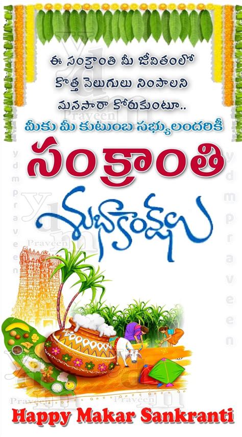 Sankranthi wishes | Sankranthi wishes, Pongal celebration, Happy sankranti