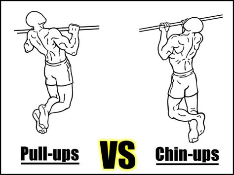 Pull-Ups vs Chin-Ups: Which One Is Better & What Builds More Muscle?