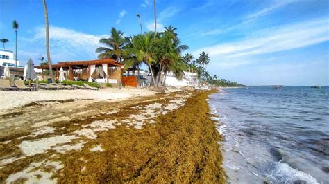 Bavaro Beach – resorts, best spots, activities and public access to Punta Cana’s main beach ...