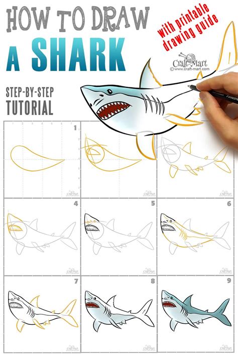 How to draw a shark in 9 easy steps - Craft-Mart | Shark drawing, Shark drawing easy, Drawings