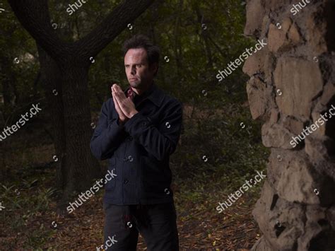 Walton Goggins Editorial Stock Photo - Stock Image | Shutterstock