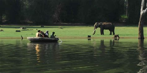 Kabini River Lodge - Kabini, Karnataka | Trippyigloo