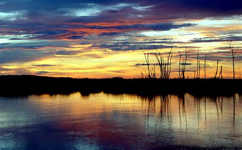 Lake Okeechobee Pollution Swells To Near-Disaster Levels | HuffPost