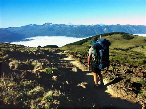 Hiking Puyehue National Park Chile | Hiking Biking Adventures