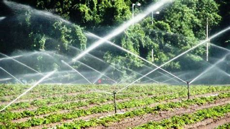 Sprinkler Irrigation: A Potential Micro-irrigation System for Increased Crop Production