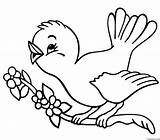 Coloring Pages Of Cute Birds sketch template