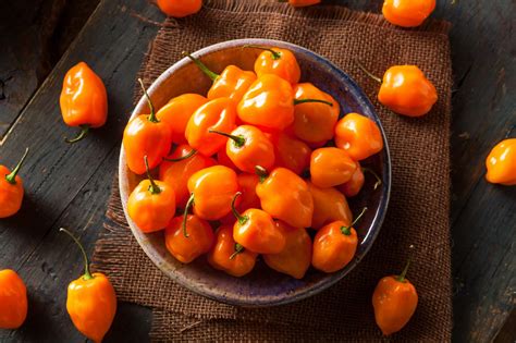 Habanero Peppers 101: Your Complete Guide | PepperScale