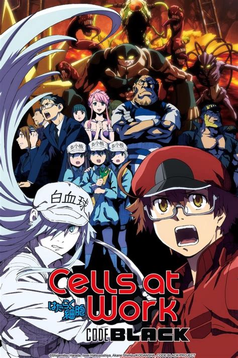 Watch Cells at Work! CODE BLACK - Crunchyroll