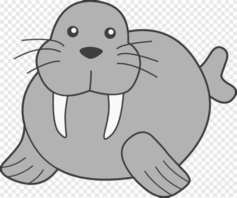 Walrus Drawing Tusk, Walrus s, putih, mamalia laut png | PNGEgg