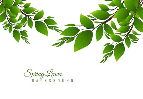 Free Vector | Illustration nature background with green leaves