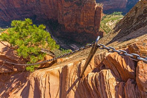 Angels Landing in Zion National Park | Hiking in Zion National Park