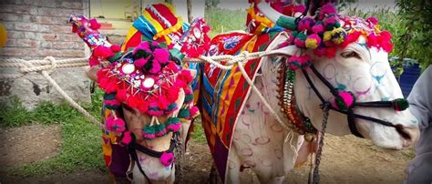 Monsoon Festivals in Maharashtra that Make the Rainy Season More ...