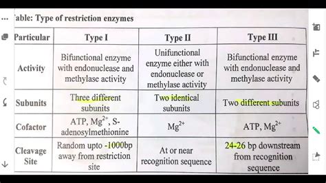 Types of Restriction Enzymes - YouTube