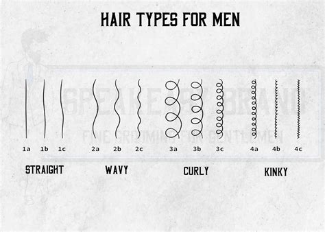 Hair Type Chart - Speakeasy Brand