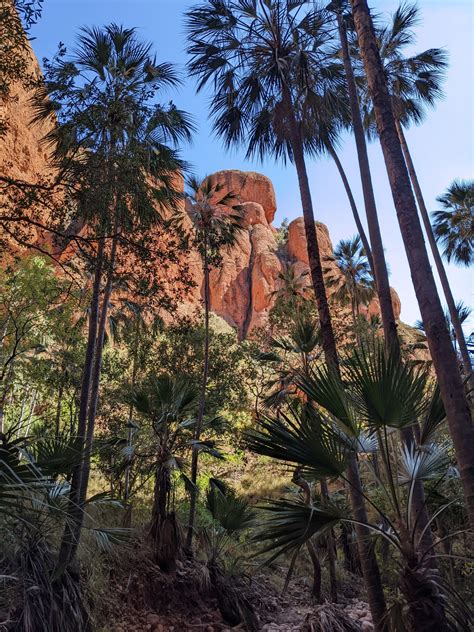 Your Complete Guide to Purnululu National Park Camping (Bungle Bungles) - Galah Gone Roaming