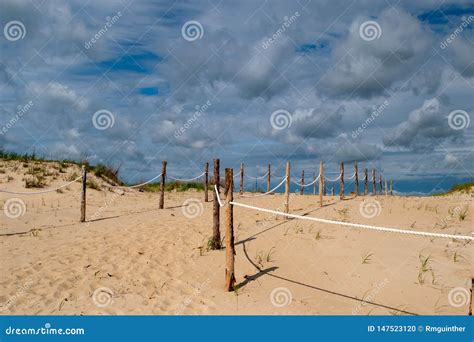 Beach Access through the Dunes Stock Photo - Image of restricted, dunes: 147523120