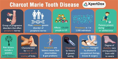 Charcot Marie Tooth Disease - a type of inherited neurological disorder ...