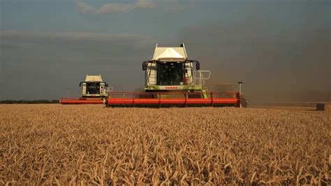 Harvesting Winter Wheat in Lincolnshire - YouTube