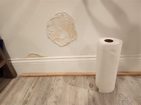 Who do I call to fix water damage in plaster wall? : r/AskDad