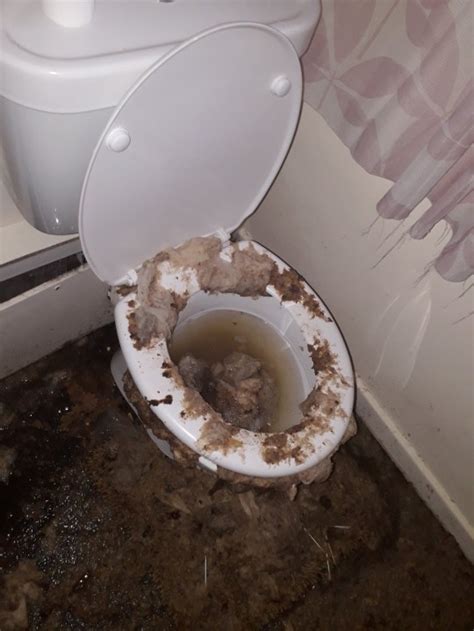 Mum's flat covered in poo and used toilet paper due to blockage | Metro News