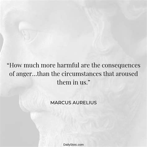 Meditations | Stoic quotes, Stoicism quotes, Marcus aurelius quotes