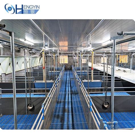 Piggery farm equipment piggery house design piggery automation - Aboub B2B Marketplace China