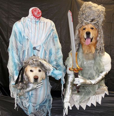 11 Terrifying(ly Hilarious) Dog Costumes | Rover Blog