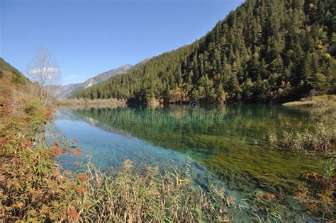 Tiger lake in Jiuzhaigou stock image. Image of china - 27867571