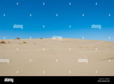 landscape of the Curonian Spit Stock Photo - Alamy