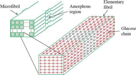 Stochastic molecular model of enzymatic hydrolysis of cellulose for ethanol production ...