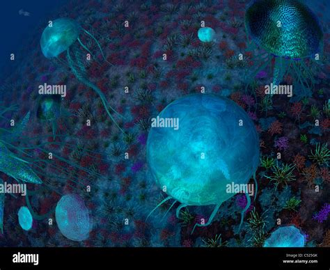 A swarm of jellyfish swim the Panthalassic Ocean Stock Photo - Alamy