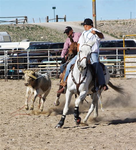 PairADice Mules: Team Roping