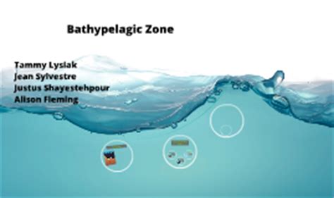 Bathypelagic Zone by Alison Fleming on Prezi