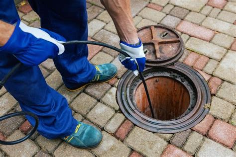 What To Look For In Professional Drain Cleaning Services? - Aztlanvirtual