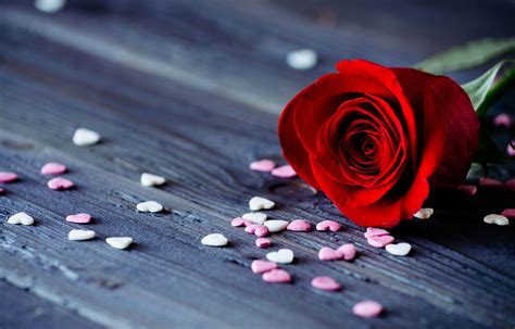 Flower Rose Red Petals Heart Date Romance Background - Rose Good Night Flowers (#895890) - HD ...