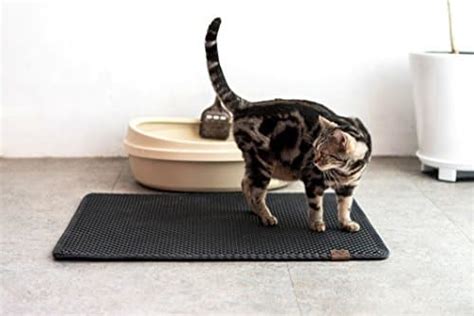 10 Cat Litter Mats to Keep Litter From Getting Everywhere | The Dog People by Rover.com