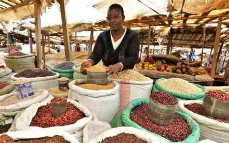 Njahi farming tips from a practicing farmer - FarmKenya Initiative