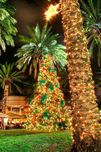 Hawaiian Christmas Hawaii | Christmas Travel | Pinterest | Maybe someday, Christmas trees and ...