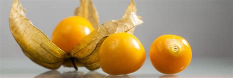 Get to Know the Uchuva (Golden berry) The Fruit of Love ⋆ The Costa Rica News