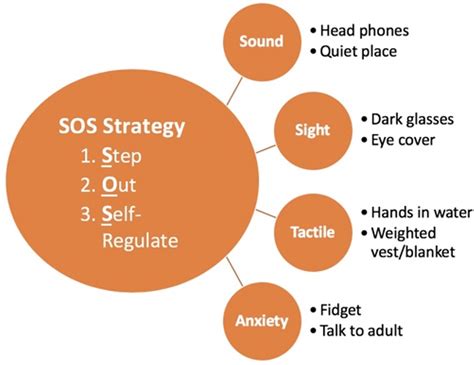 sos-strategy-image – FLIPP the Switch