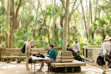 Florida Black Bear Habitat - PLAYGROUND Magazine