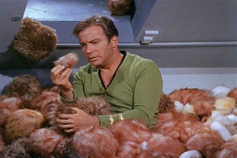 It's The 51st Anniversary Of 'The Trouble With Tribbles' | The Mary Sue