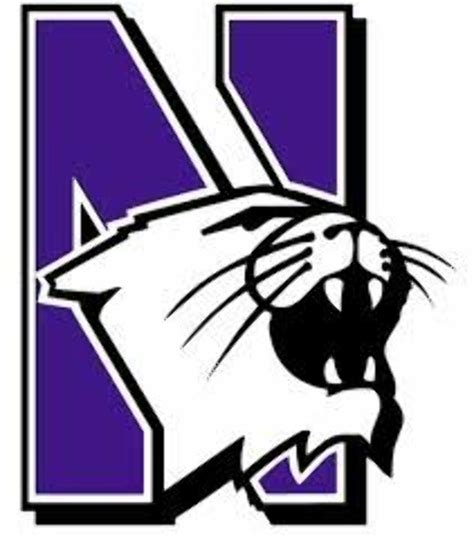 Download High Quality northwestern university logo mascot Transparent ...